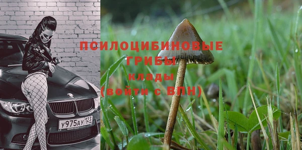 PSILOCYBIN Алексеевка